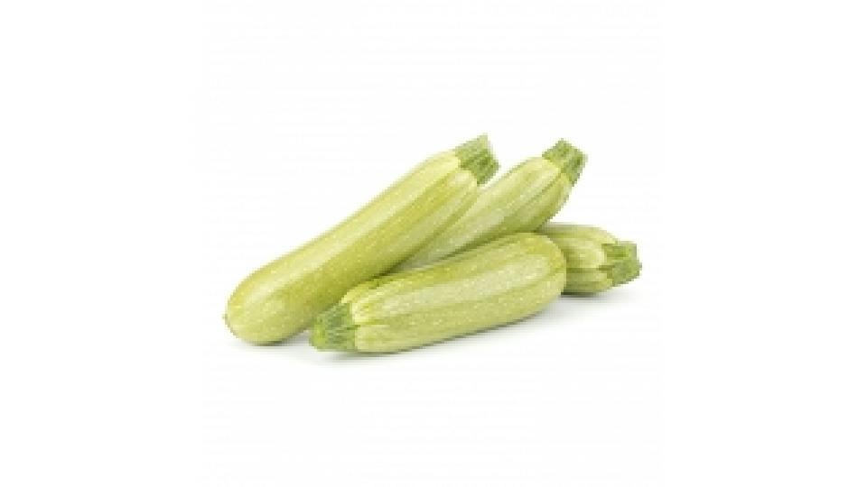 Zucchine Chiare It 14-21 I^ Sf