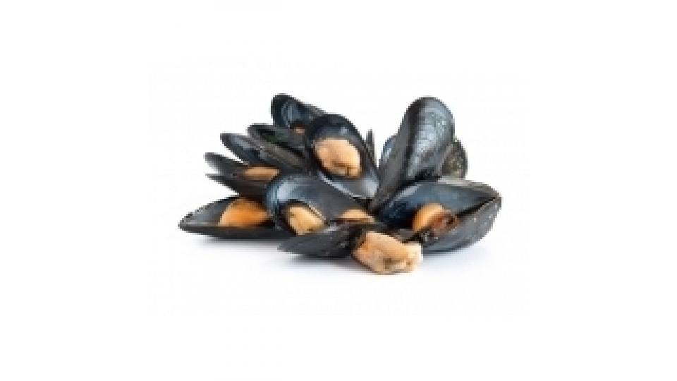 Cozze Allevate Italia