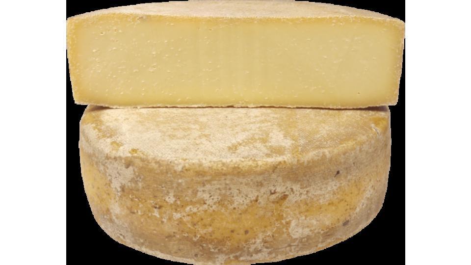 Formaggio Nostrano di Monte 