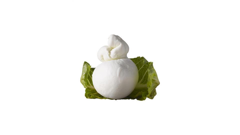 Scamorza di Latte di Bufala 