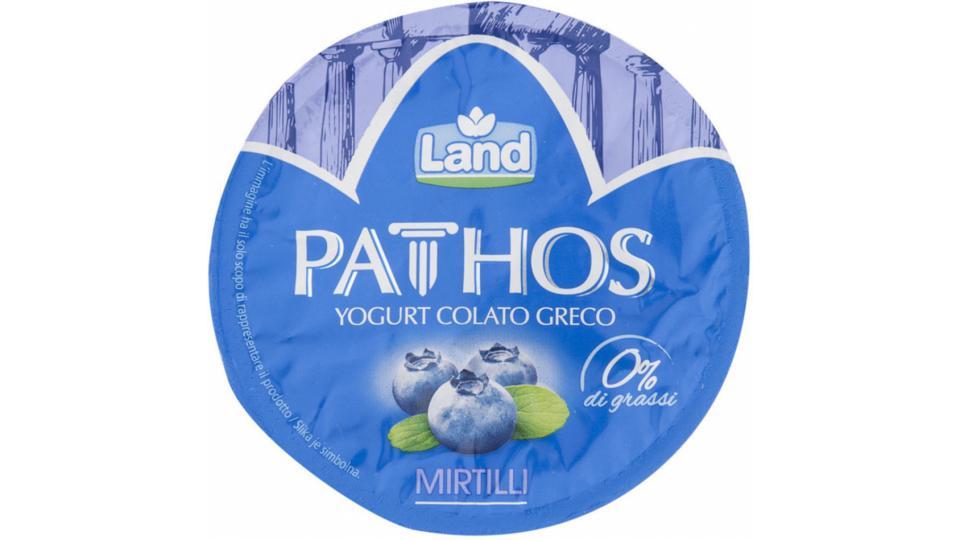 Yogurt Greco Magro Mirtilli