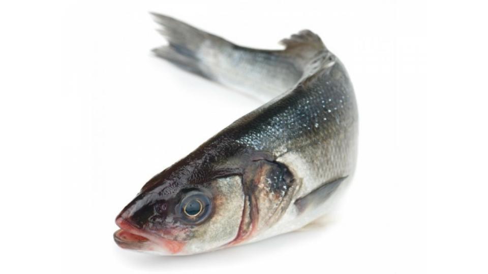 Branzino 