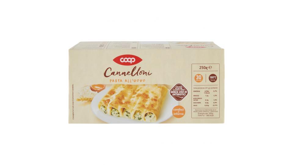 Cannelloni Pasta all'Uovo