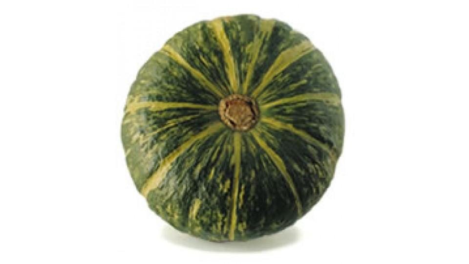 Zucca Delica Veneto