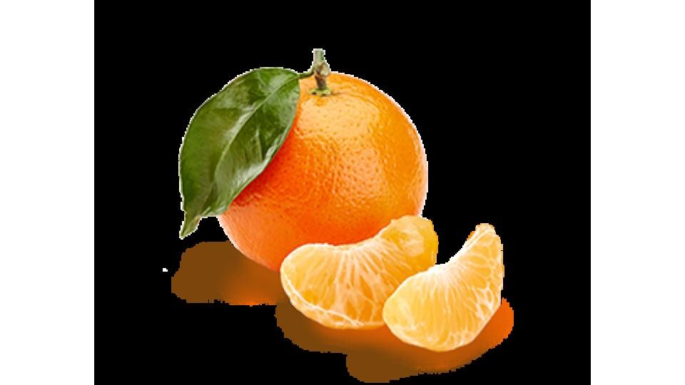 Clementine Affogi It 3-4 I^ Categoria 