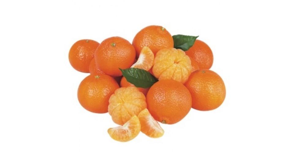 Clementine Bio