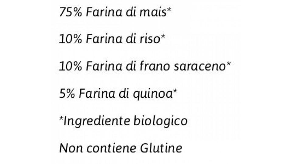 Spaghetti Bio Multicereali 