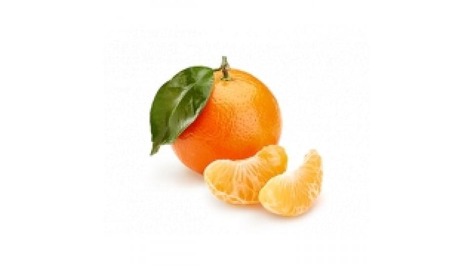 Clementine Affogliate Italia
