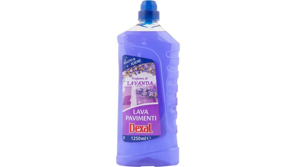 Lavapavimenti Lavanda