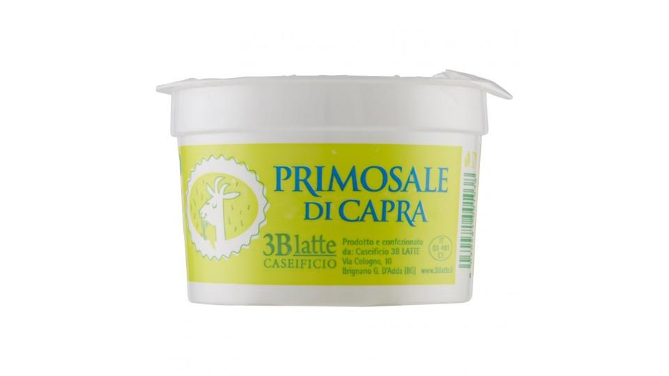 Primosale di Capra