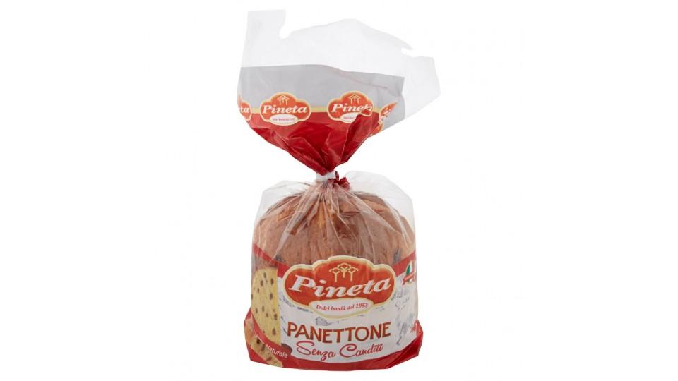 Panettone senza Canditi