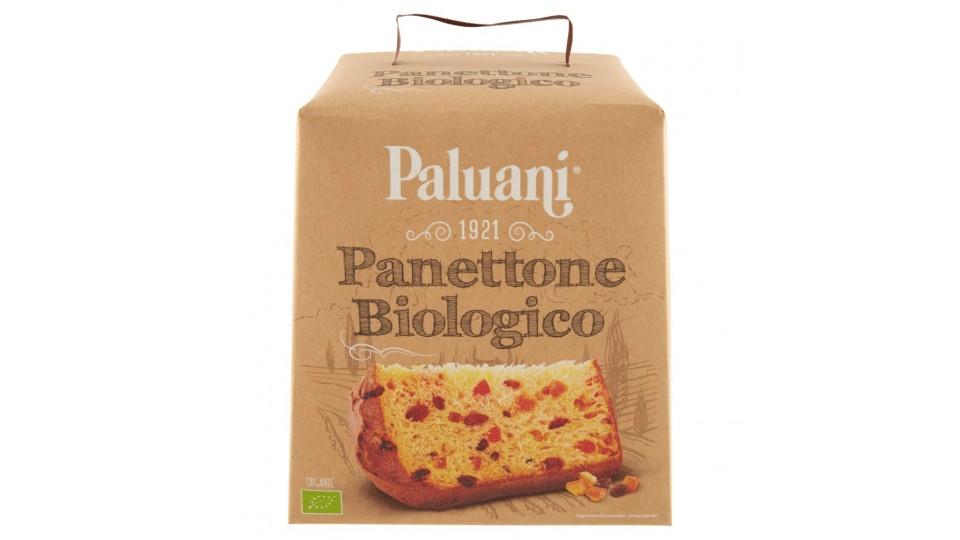 Panettone Biologico