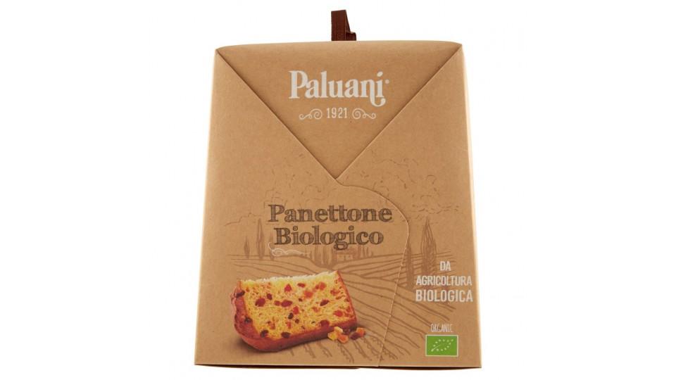 Panettone Biologico