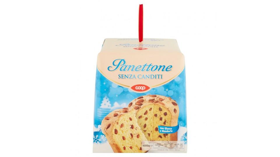 Panettone senza Canditi