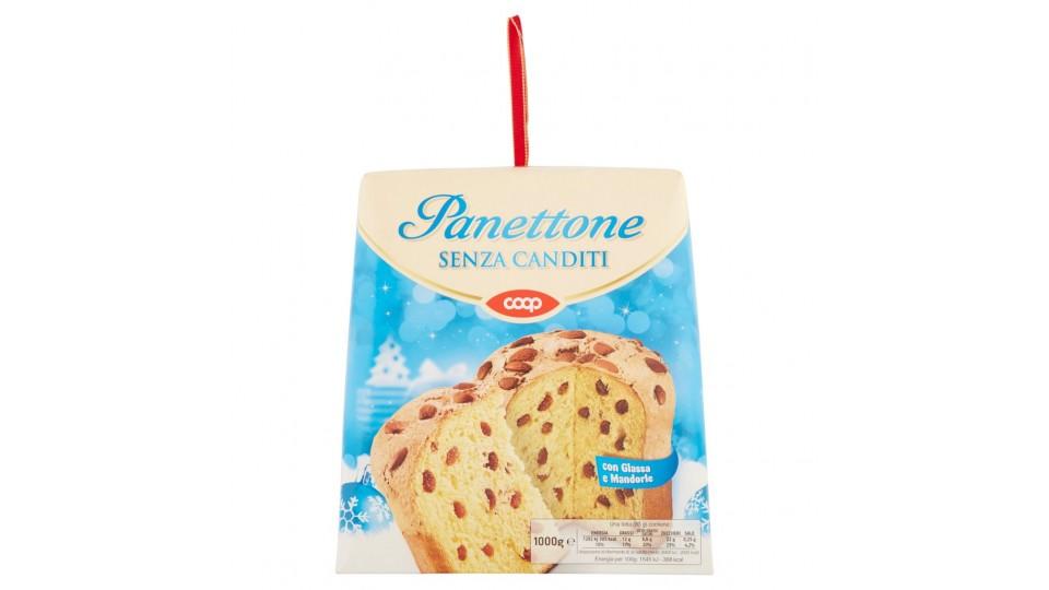 Panettone senza Canditi