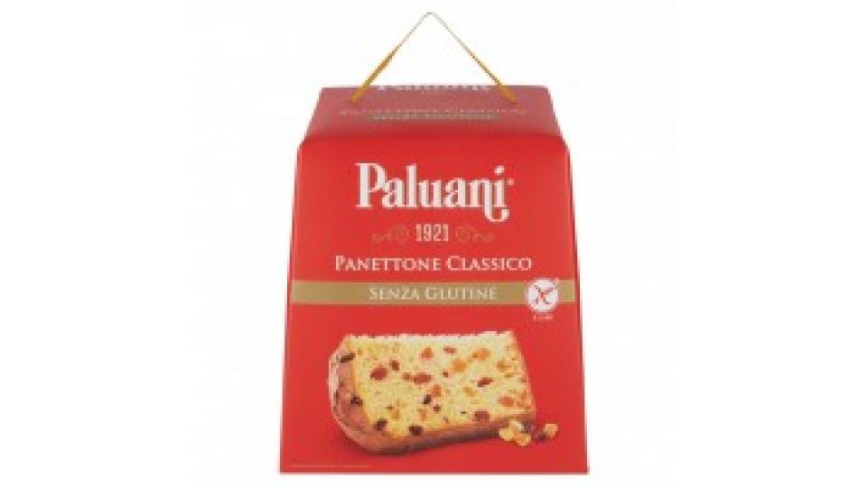 Panettone Classico senza Glutine