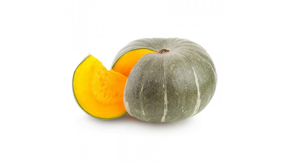 Zucca Verde 