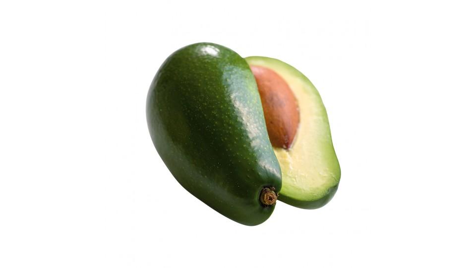 Avocado