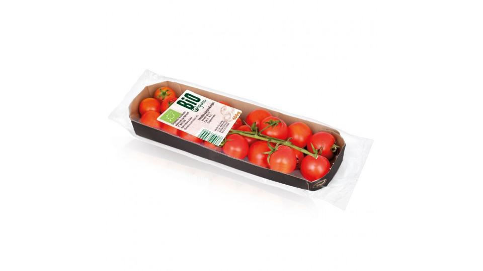 Pomodori Ciliegino Bio