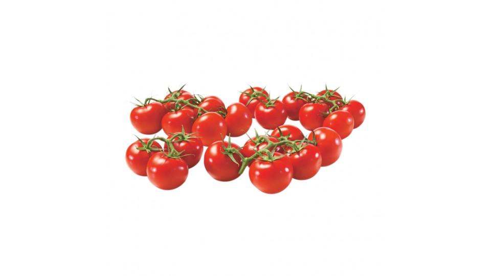 Pomodori Ciliegino Pachino Igp