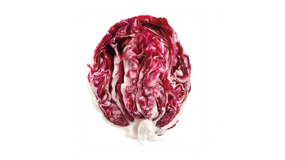 Radicchio