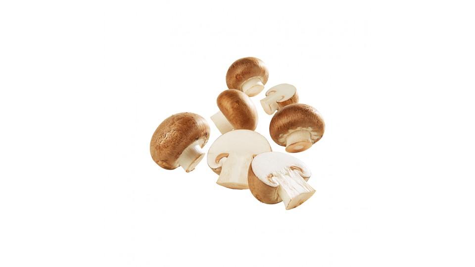 Champignon Crema