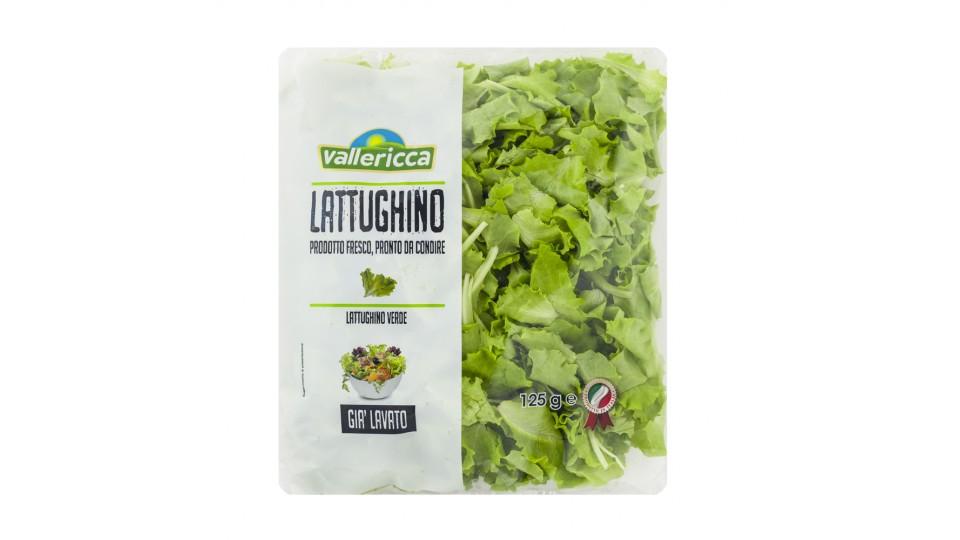 Lattughino