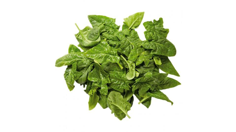 Spinaci (Non Lavati)