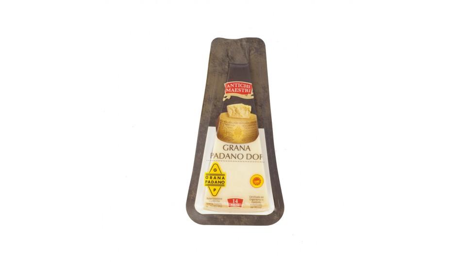 Grana Padano Dop 14m