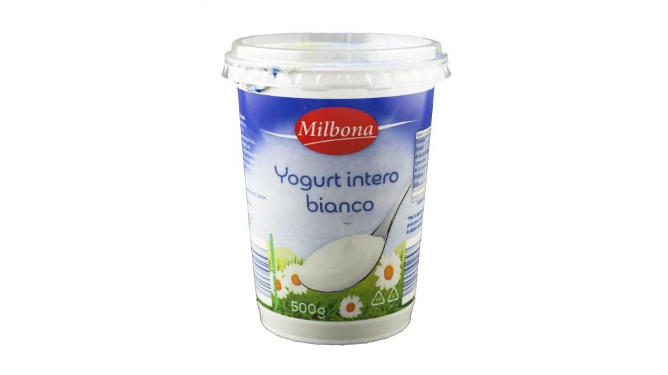 Yogurt Bianco Intero 3,5% Grassi