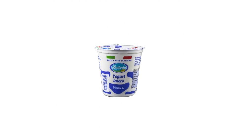 Yogurt Bianco Intero Solo Latte Italiano