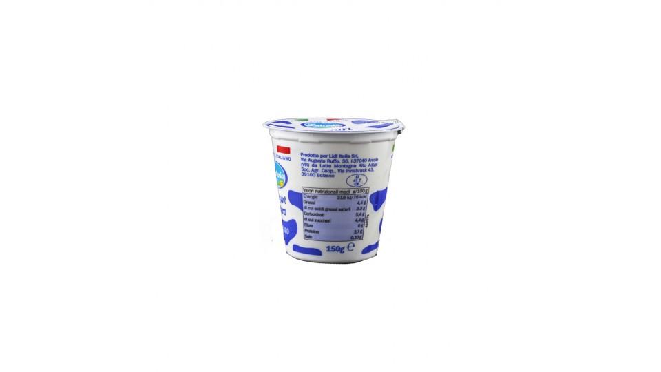 Yogurt Bianco Intero Solo Latte Italiano