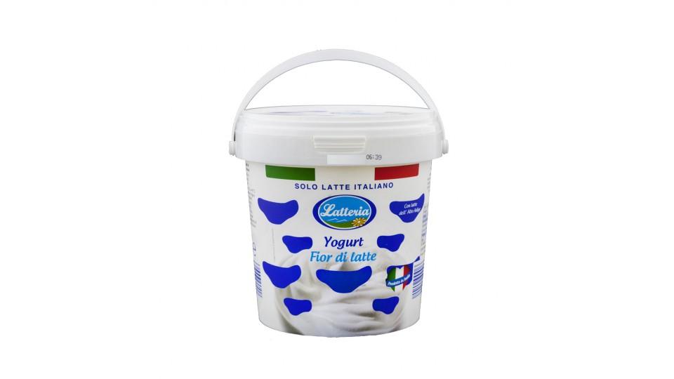 Yogurt Cremoso Fior di Latte Solo Latte Italiano