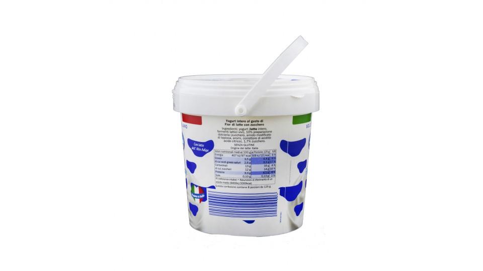 Yogurt Cremoso Fior di Latte Solo Latte Italiano