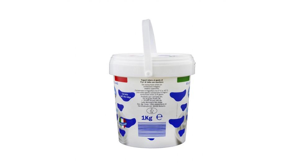 Yogurt Cremoso Fior di Latte Solo Latte Italiano