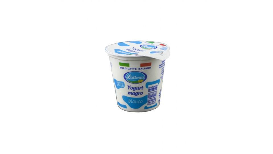 Yogurt Bianco Magro 0,1% Solo Latte Italiano