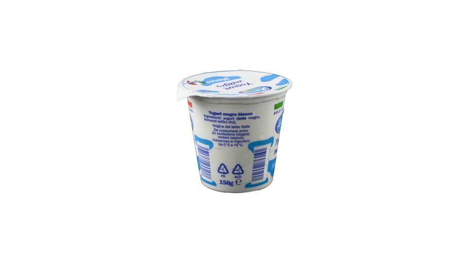 Yogurt Bianco Magro 0,1% Solo Latte Italiano