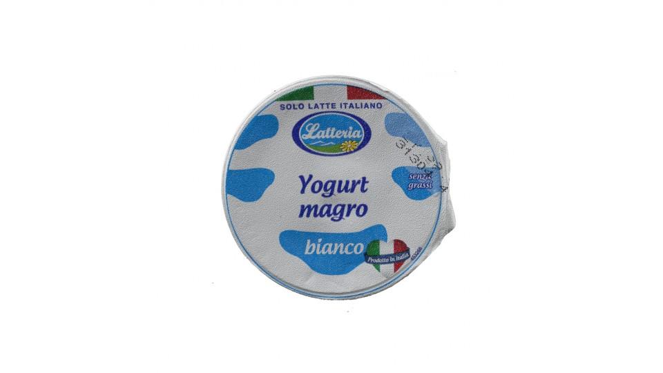 Yogurt Bianco Magro 0,1% Solo Latte Italiano