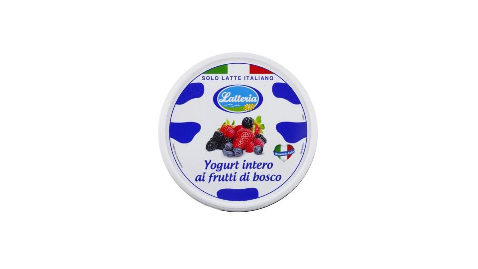 Yogurt Intero Frutti di Bosco Solo Latte Italiano