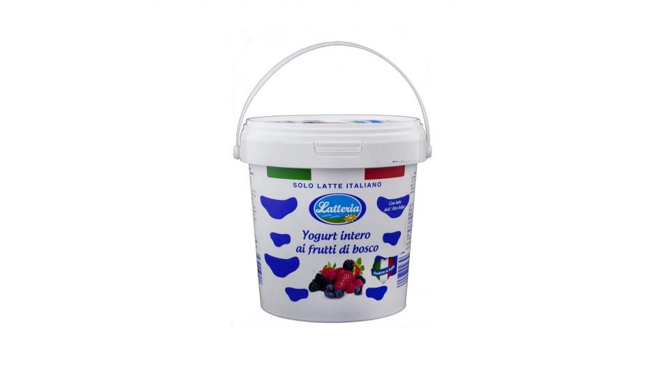 Yogurt Intero Frutti di Bosco Solo Latte Italiano