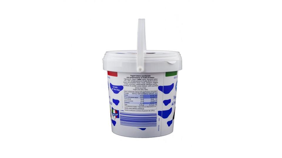 Yogurt Intero Frutti di Bosco Solo Latte Italiano