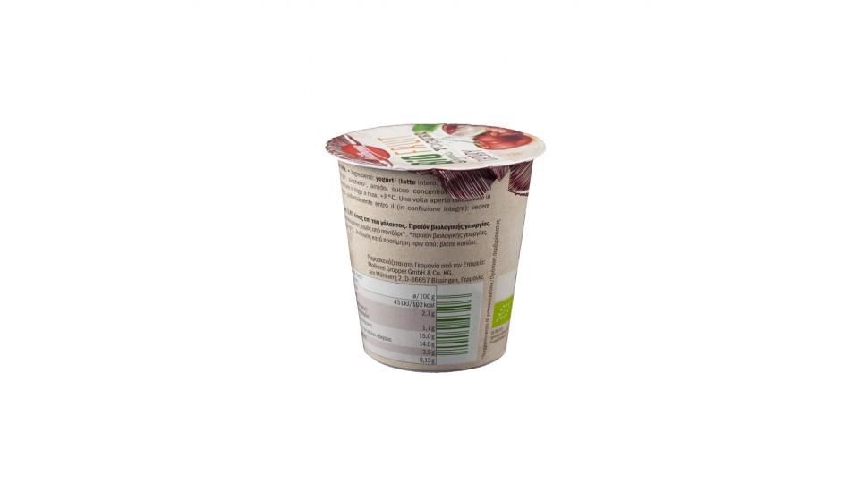 Yogurt Bio Ciliegia