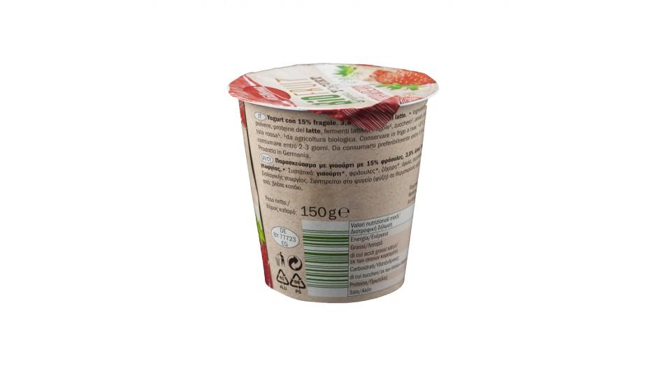 Yogurt Bio Fragola