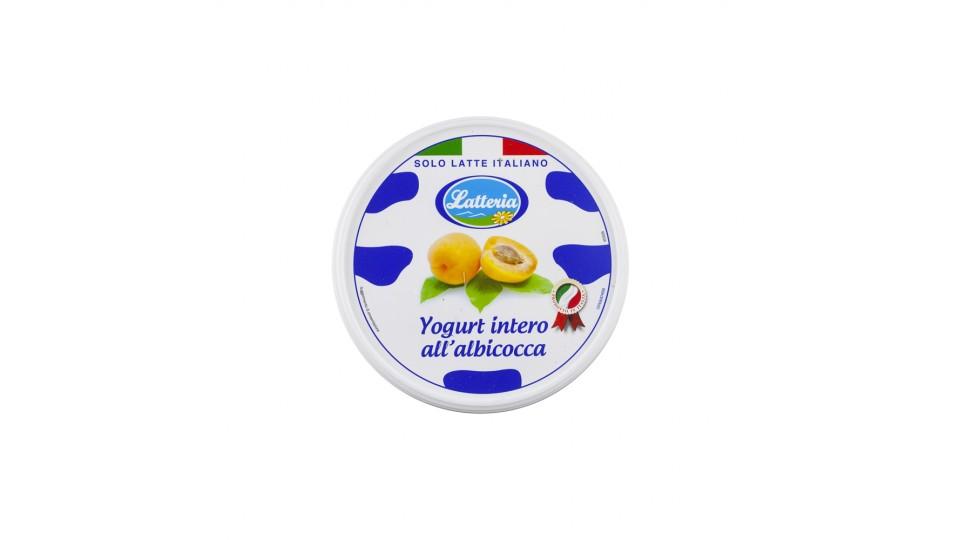 Yogurt Intero Albicocca Solo Latte Italiano