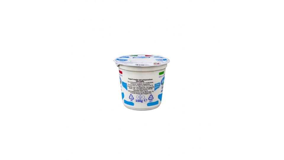 Yogurt Magro Pesca Solo Latte Italiano