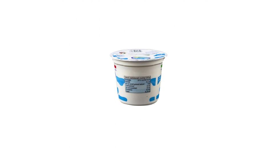 Yogurt Magro Pesca Solo Latte Italiano