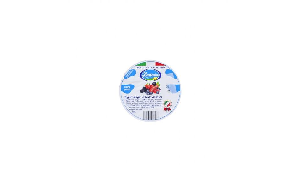 Yogurt Magro Frutti di Bosco Solo Latte Italiano