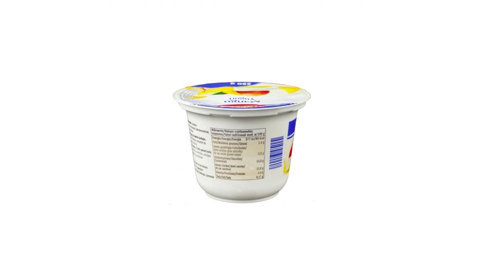 Yogurt al Mango 1,8% Grassi