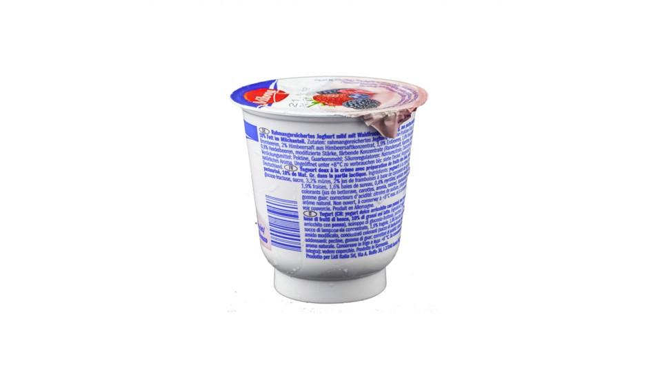 Yogurt Cremoso Frutti di Bosco 10% Grassi