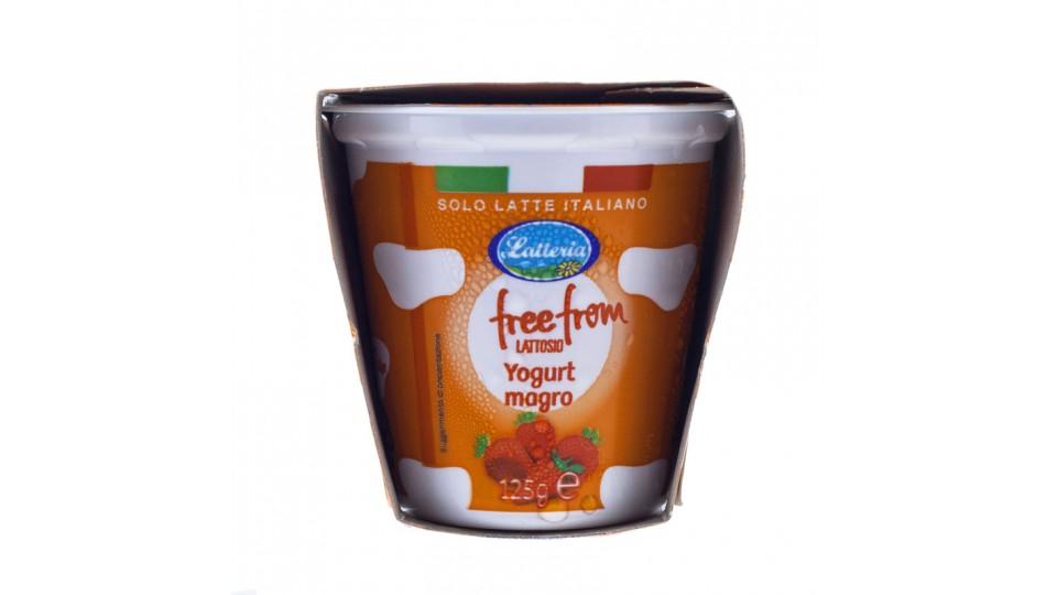 Yogurt Fragola senza Lattosio